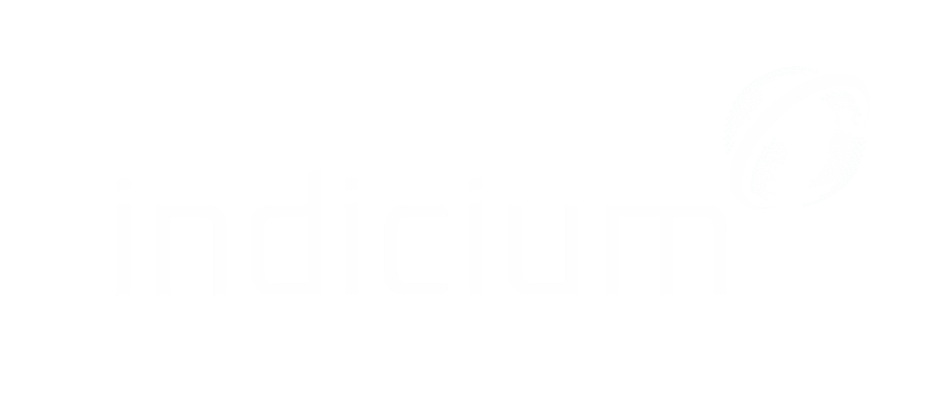 Indicium